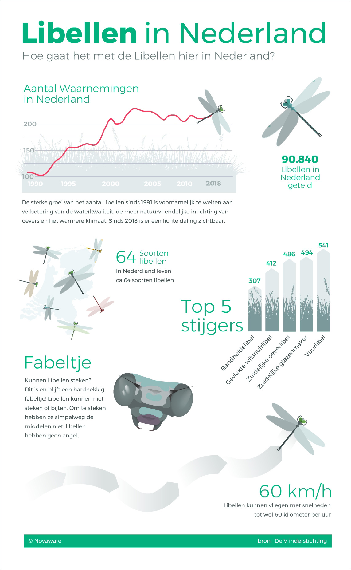 Example Google Data Studio Report Visualization: Infographic Dragonflies