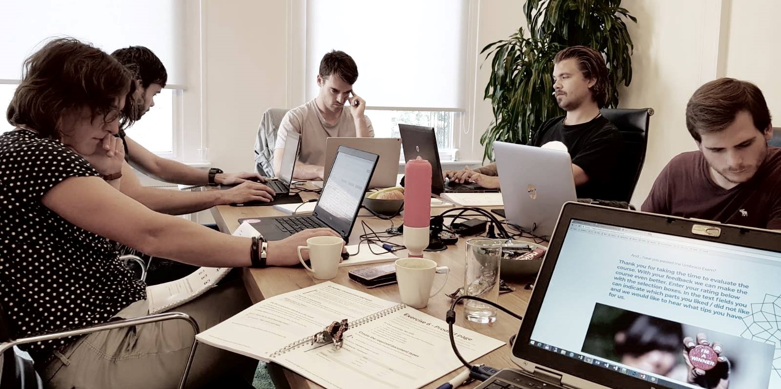 Umbraco Training: Searching and Indexing